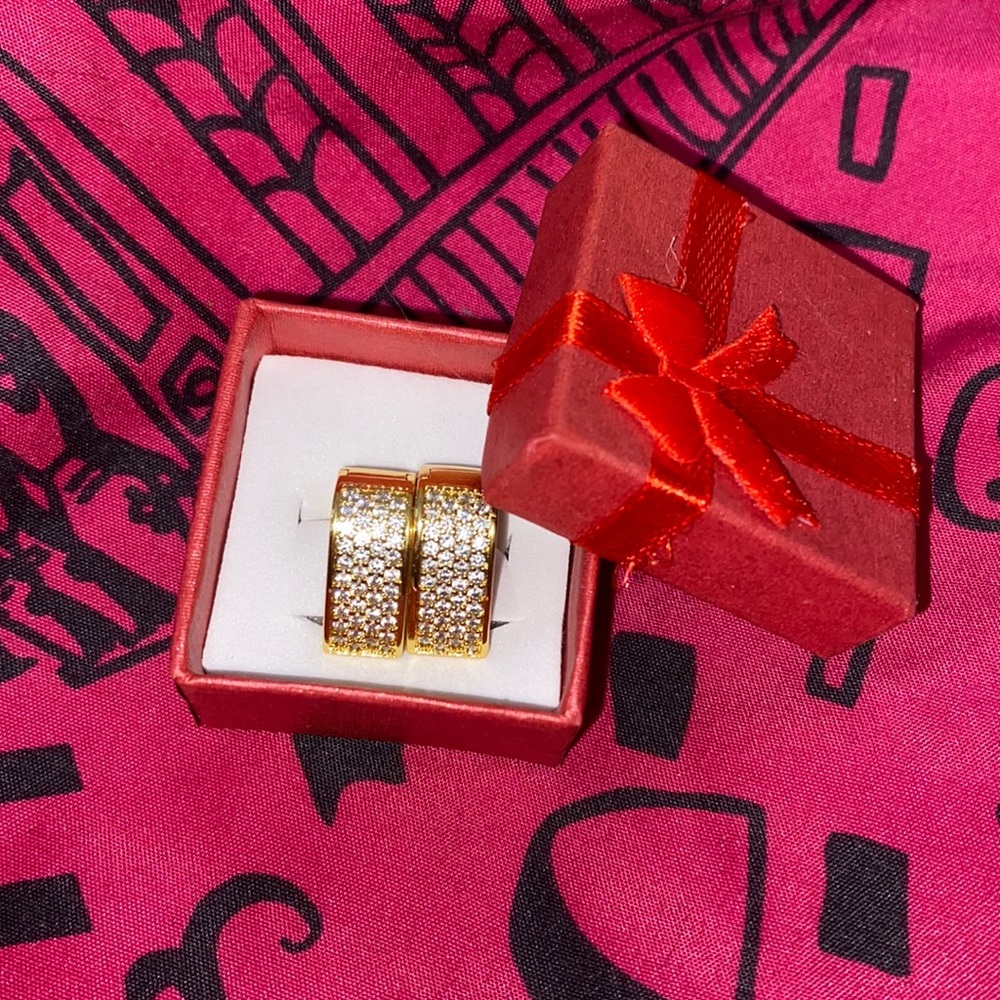 Sparkly Hinged Earrings